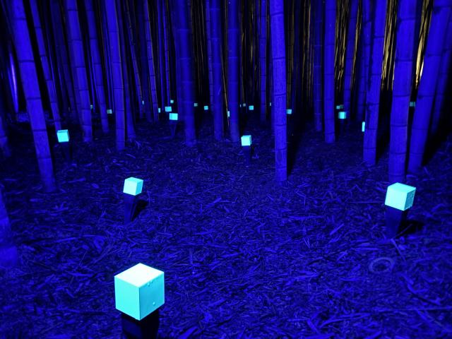 「ひたち大宮 DRAGON BAMBOO」/桜づつみライトアップ 「ひたち大宮 DRAGON BAMBOO」/桜づつみライトアップ