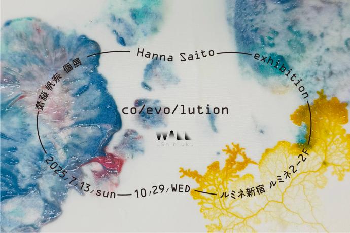 齋藤帆奈個展「co/evo/lution」