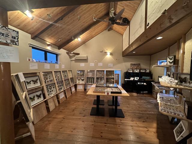 むし展〜かわひらこ〜