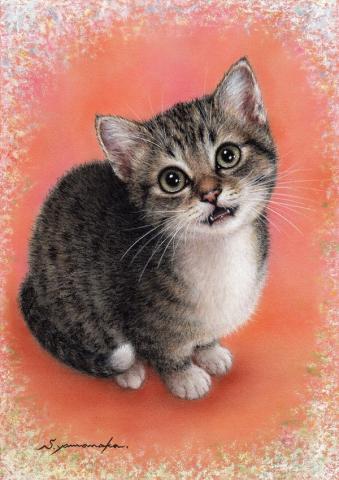 山中翔之郎個展　－パステルで描く動物たち－