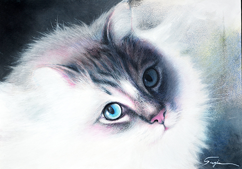 杉生一幸個展 猫と犬の絵画展 杉生一幸個展 猫と犬の絵画展