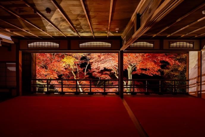 柳谷観音楊谷寺紅葉ウィーク2025 柳谷観音楊谷寺紅葉ウィーク2025