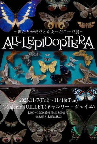 『ALL LEPIDOPTERA』 〜蝶だとか蛾だとかあーだこーだ展〜 『ALL LEPIDOPTERA』 〜蝶だとか蛾だとかあーだこーだ展〜