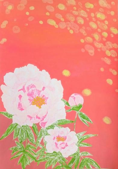 牡丹の花 牡丹の花