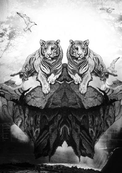 Black & White ILLUSTRATION Black & White ILLUSTRATION