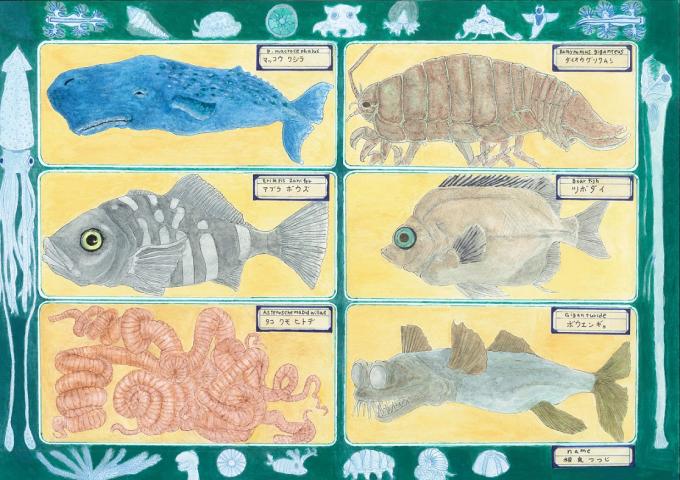 深海生物標本 深海生物標本